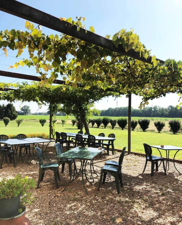Agriturismo Le Colombaie 布塞托 外观 照片